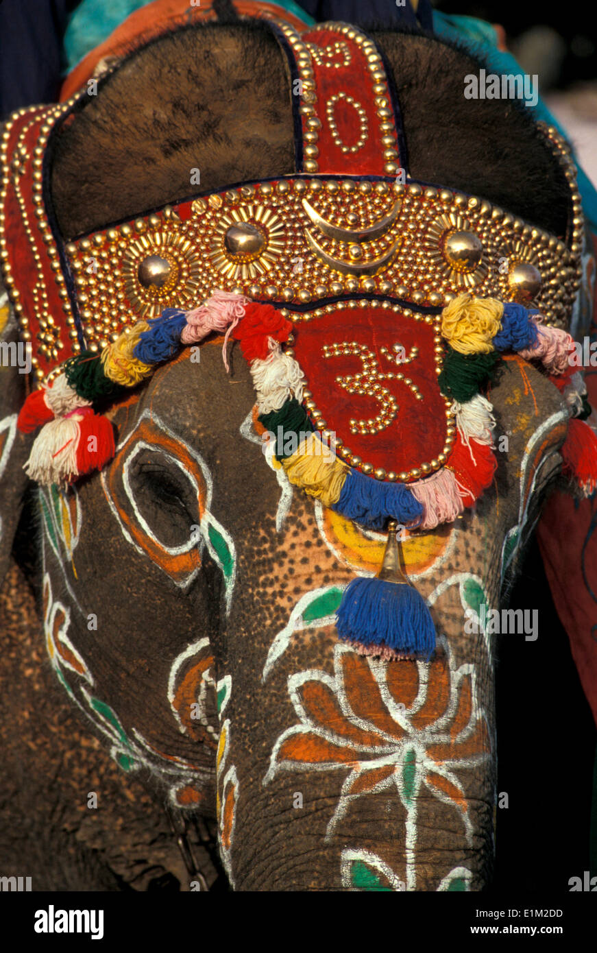 Dassara fête hindoue elephant parade à Mysore Banque D'Images