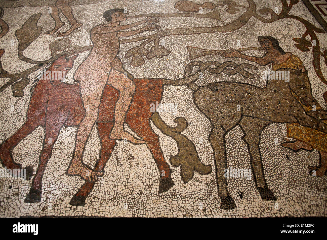 Nef centrale mosaïque sur le plancher d'Otrante duomo : riders Banque D'Images