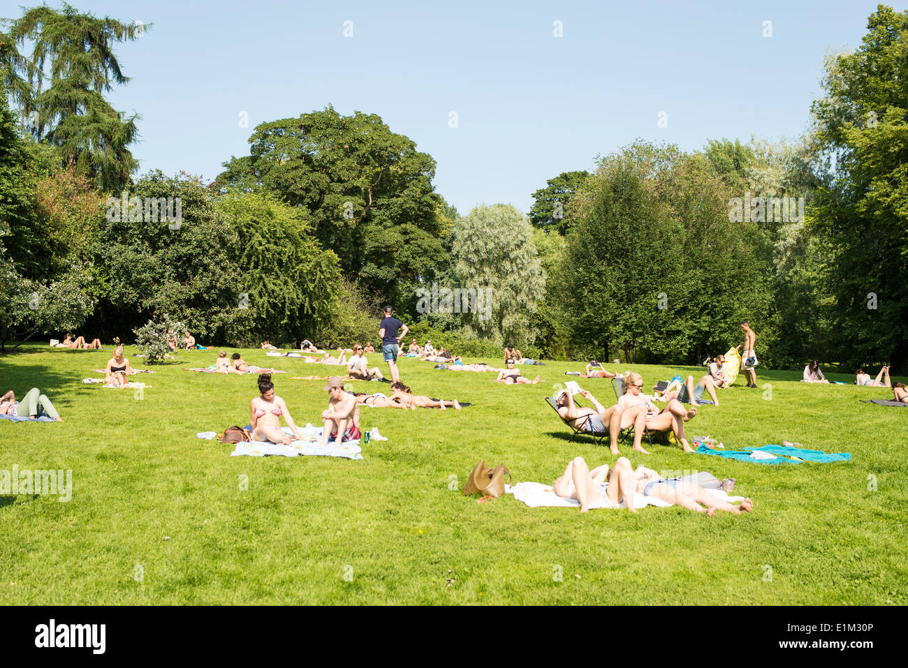 Le soleil dans le parc, Oslo Banque D'Images