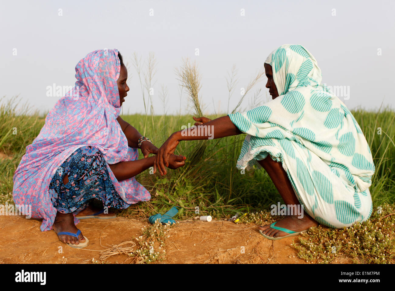 Les membres d'une femme sénégalaise groupement d'agriculteurs Banque D'Images