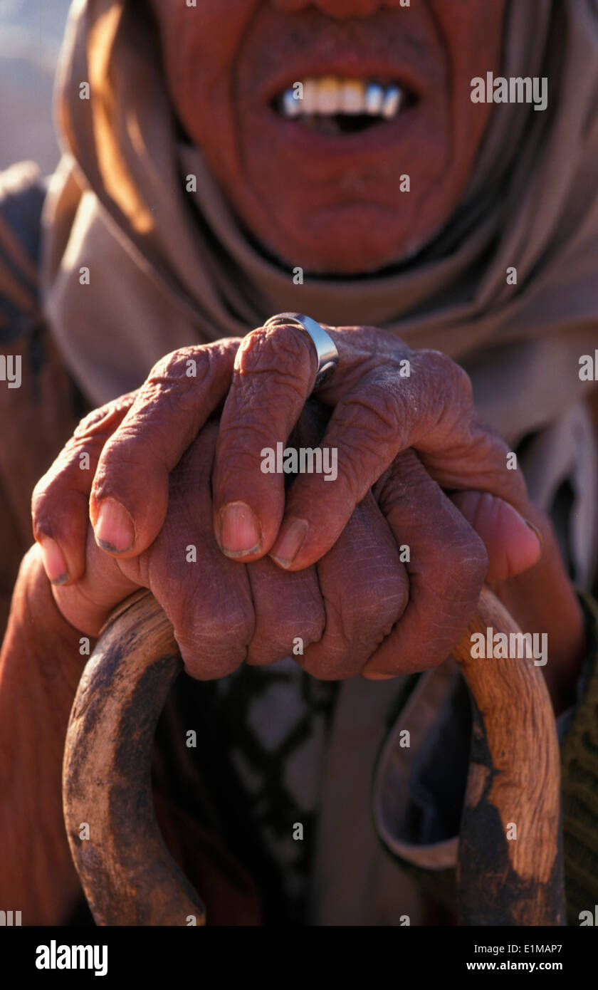 Vieux bédouin Banque D'Images