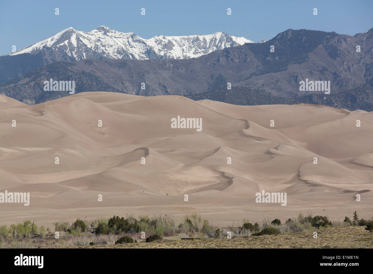 USA, Colorado, Great Sand Dunes National Park and Preserve, dunes de sable (avant-plan), les montagnes Sangre de Cristo (arrière-plan) Banque D'Images