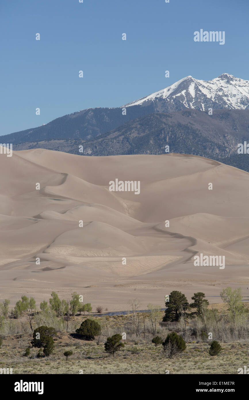 USA, Colorado, Great Sand Dunes National Park and Preserve, dunes de sable (avant-plan), les montagnes Sangre de Cristo (arrière-plan) Banque D'Images