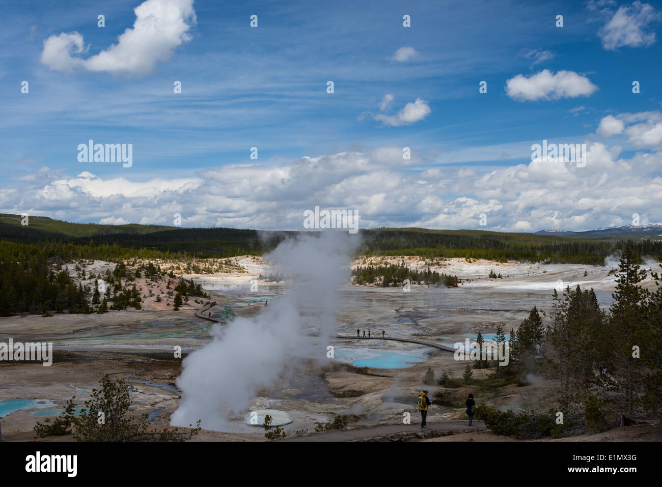 La vapeur provenant d'une fumerolle au Norris Geyser Basin. Le Parc National de Yellowstone, Wyoming, USA. Banque D'Images