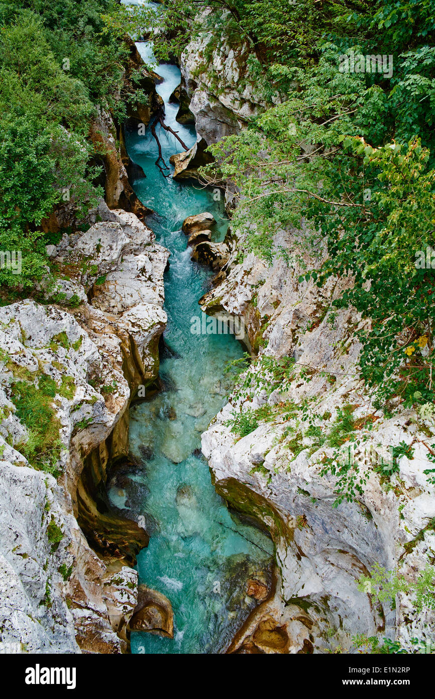 La Slovénie, Goriska région, Bovec, parc national du Triglav, Velika Korita, gorge de la rivière Soca Banque D'Images