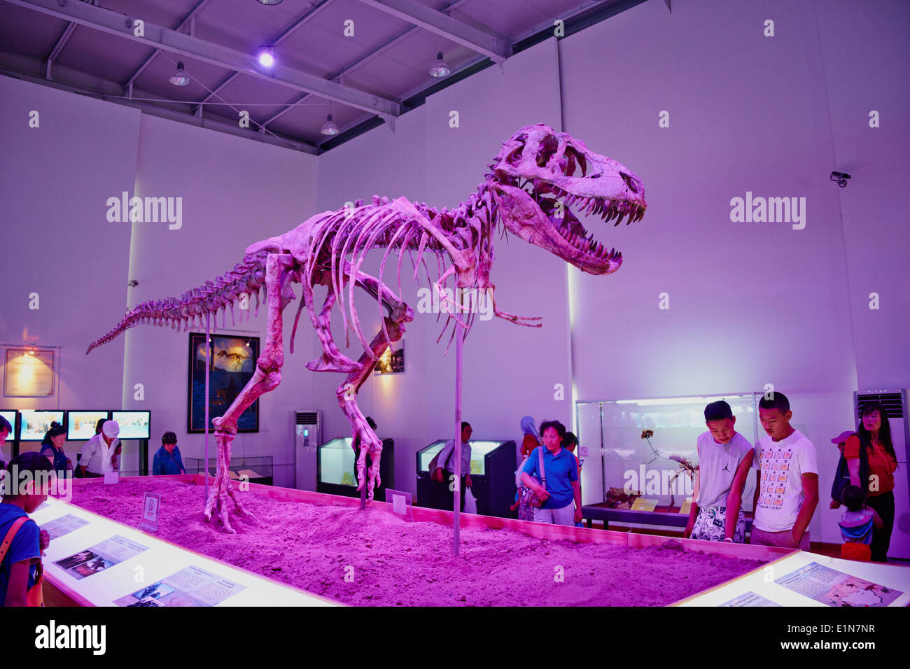 La Mongolie, Oulan Bator, squelette de dinosaure (Tyrannosaurus) exposés à Sukhbaatar Square Banque D'Images