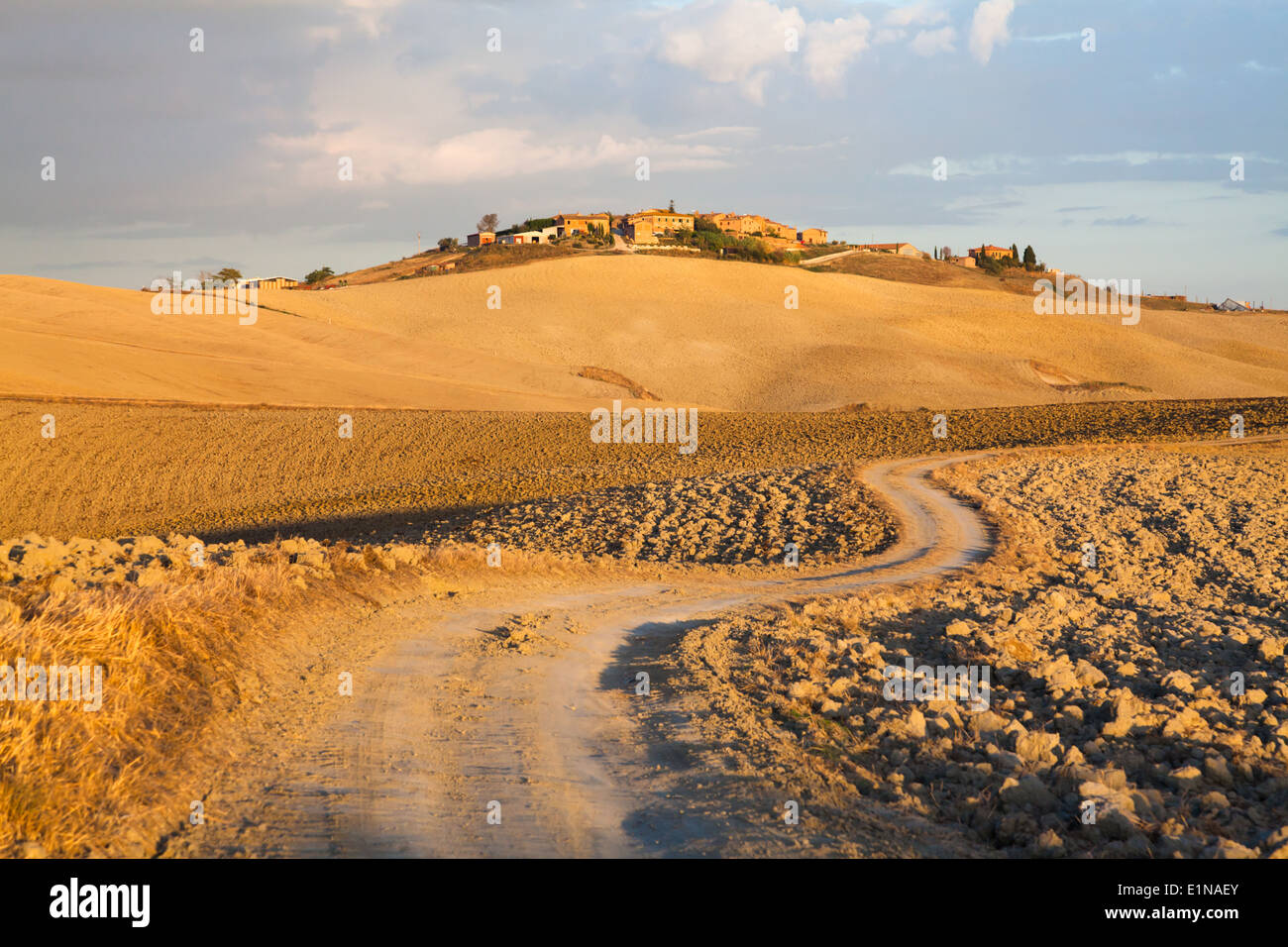 Route sinueuse, terre labourée et Mucigliani (sur la colline) - coucher de soleil paysage en région entre Sienne et Volterra, Toscane, Italie Banque D'Images