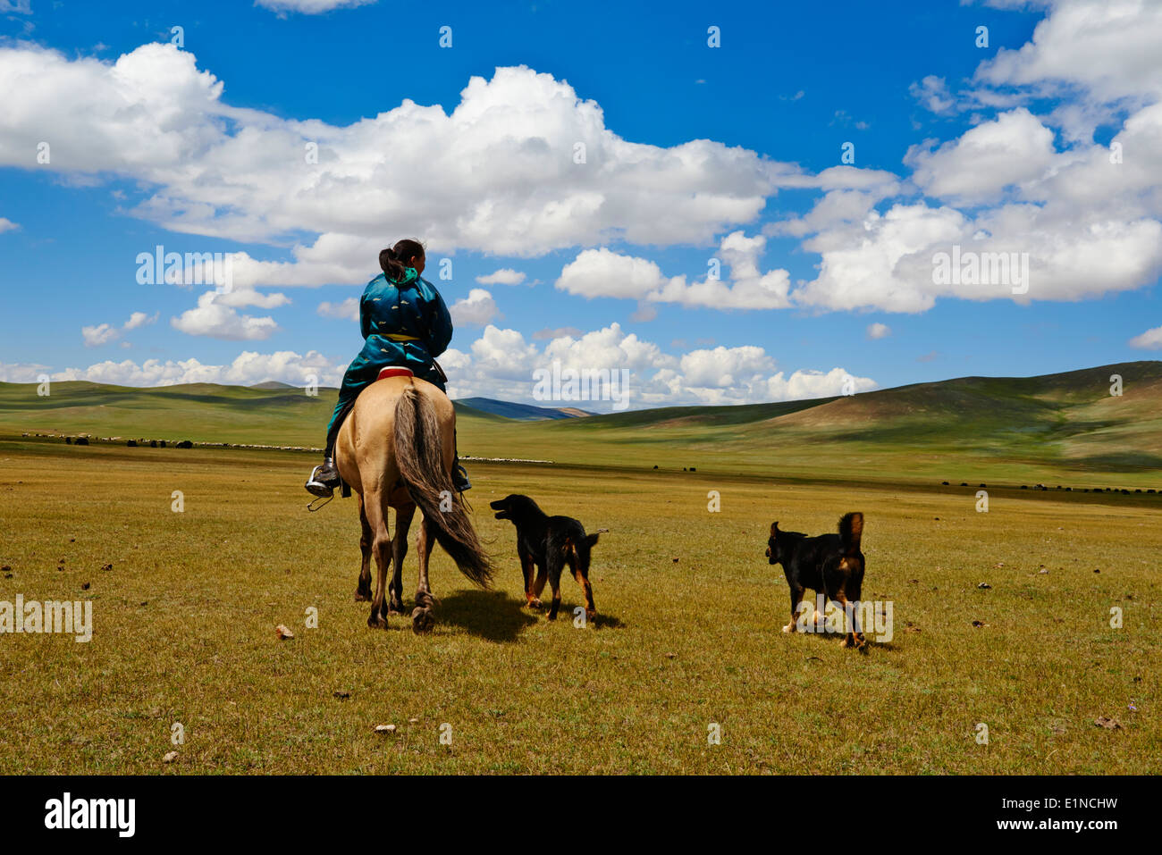 La Mongolie, province Zavkhan, nomad woman with dog Banque D'Images