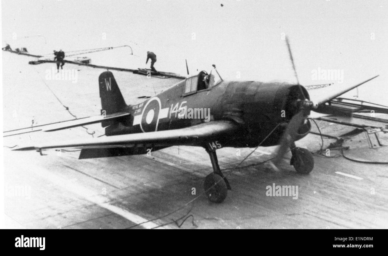 Le Grumman F6F Hellcat, un avion de chasse à porte-avions utilisé par la marine américaine pendant la seconde Guerre mondiale, est présenté dans cette image de la collection Charles M. Daniels. Le Hellcat joue un rôle clé dans les batailles navales, contribuant de manière significative à la victoire alliée sur le théâtre du Pacifique. Banque D'Images