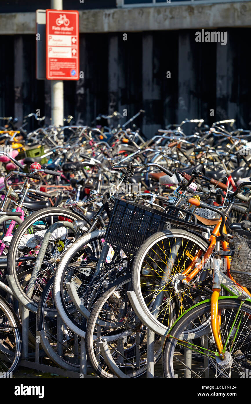 Parking vélos Amsterdam - Hollande, Pays-Bas Banque D'Images