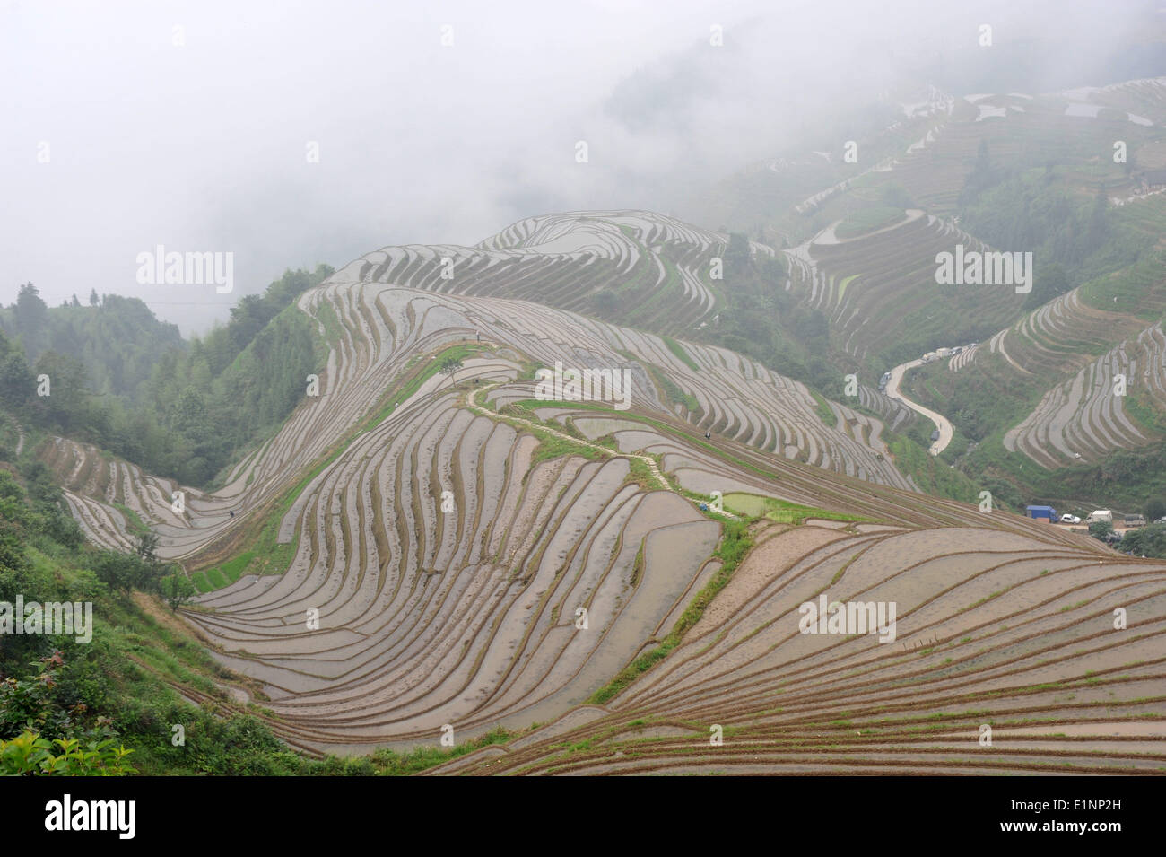 Longsheng, la région autonome Zhuang du Guangxi. 7 juin, 2014. Des couvertures de brouillard en terrasses, un village de Longji Township dans le comté de Longsheng, Chine du Sud, région autonome Zhuang du Guangxi, le 7 juin 2014. © Lu Bo'un/Xinhua/Alamy Live News Banque D'Images