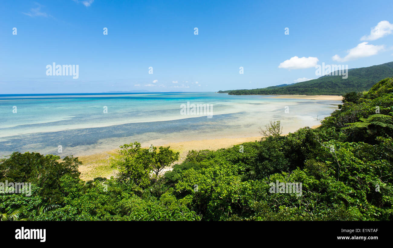 Seascape view de jungle luxuriante et belle plage tropical paradise à distance Banque D'Images