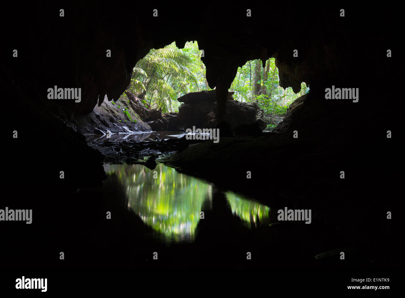 Monde perdu vu à travers l'intérieur de la grotte de calcaire de l'épique caché dans la jungle de l'île d'Iriomote, Okinawa, Japon tropical Banque D'Images
