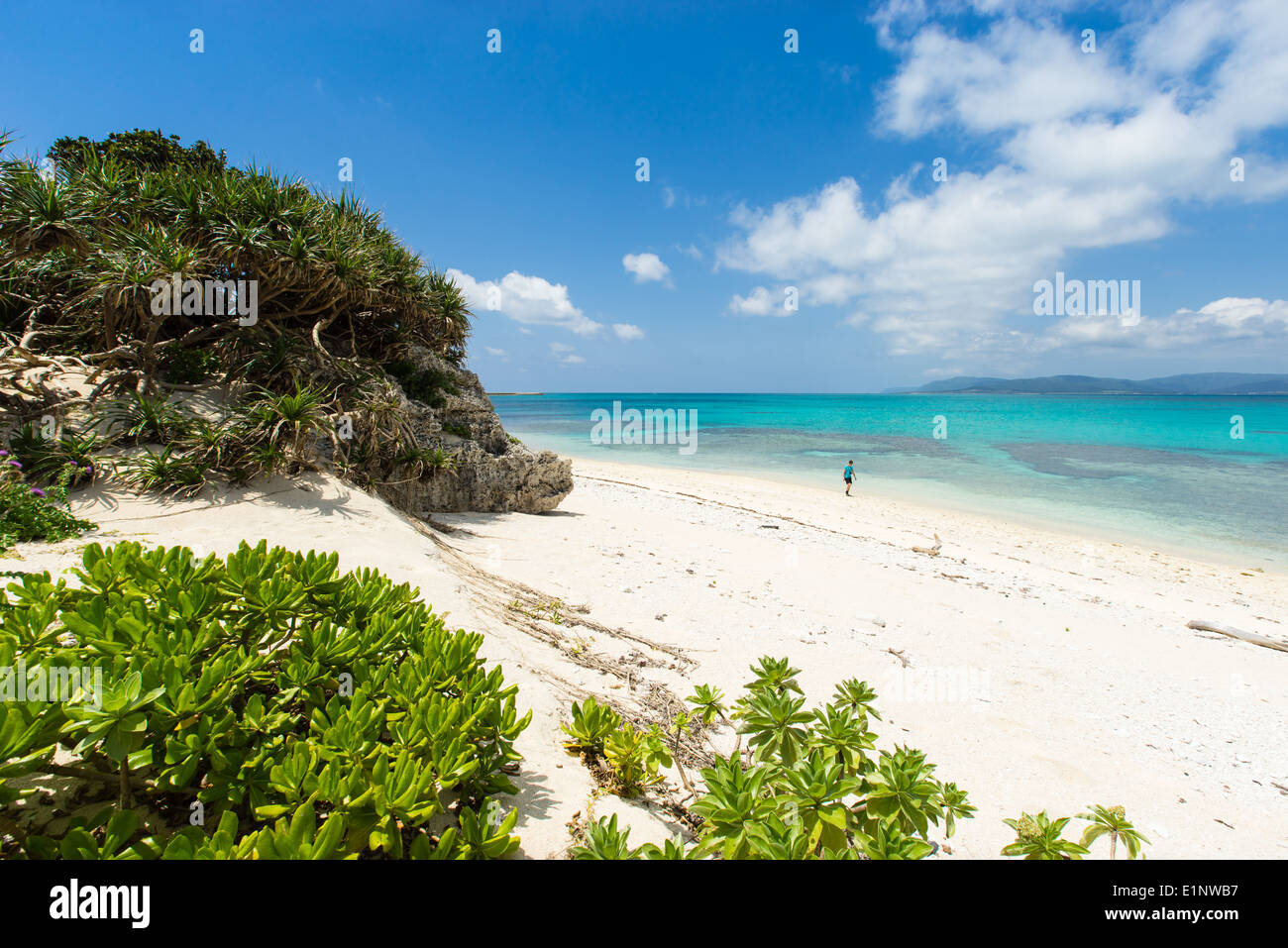 L'homme parfait admiratifs plage de sable blanc entourée d'eau tropicale d'Okinawa, Japon Banque D'Images