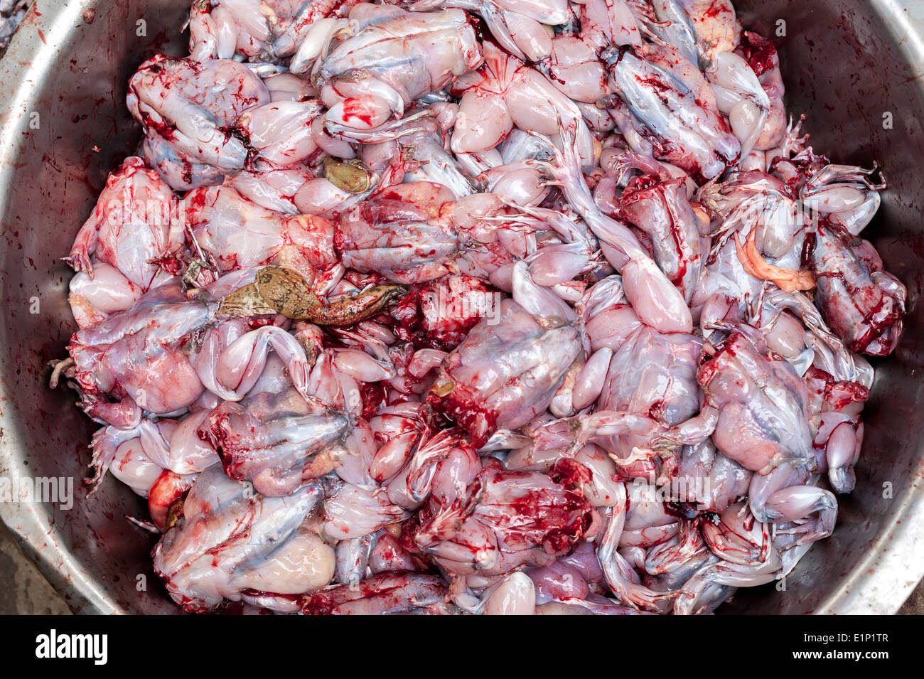 Matières premières pour vendre la peau des grenouilles au marché des aliments asiatiques Banque D'Images