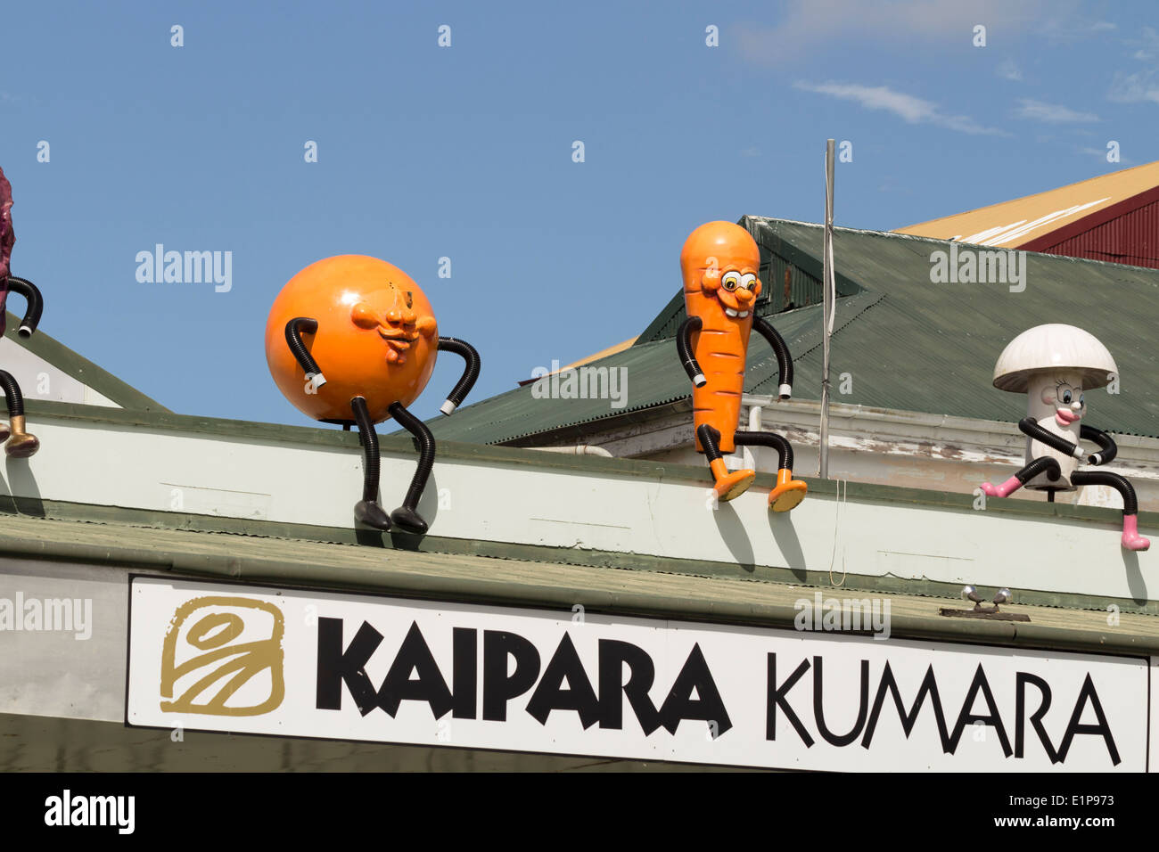 Nouvelle Zélande 2013-2014. Ruarwai, Northland. Kaipara Kumara et légumes du marché de gros de fruits et légumes géants avec des légumes. Banque D'Images