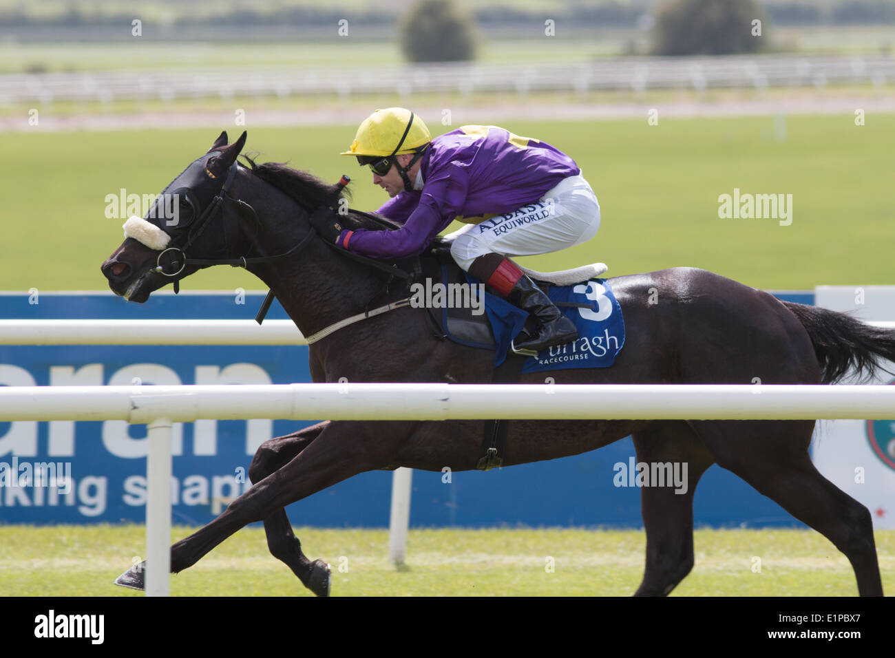 Pilote de brousse et Pat Smullen gagner le Découvrez l'Irlande Dublin Horse Show à la jeune fille de RDS à l'hippodrome de Curragh Dermot Weld Banque D'Images