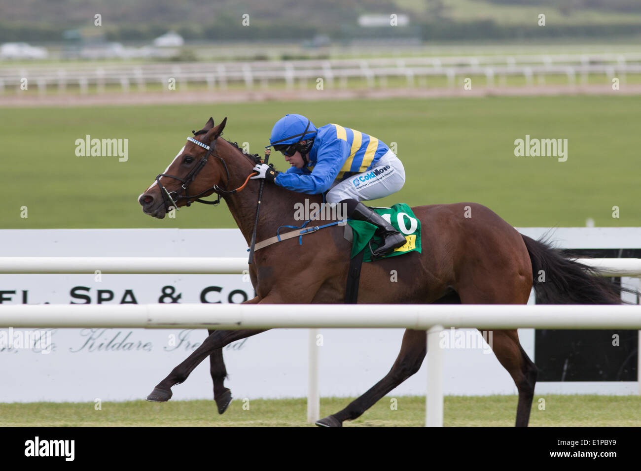 Fei Dragon et Leigh Roche remportant la TRM fête ses 25 ans dans la nutrition équine de l'EBF Pouliches handicap à l'Hippodrome de Curragh pour Trainer Dermot McLoughlin Banque D'Images