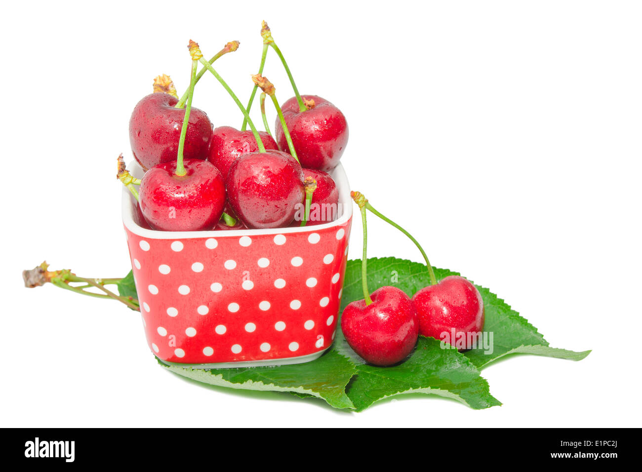Doux et juteux Ripe cherry berry savoureux fruits humide avec de l'eau tombe en petites feuilles vert frais sur bol isolé Banque D'Images