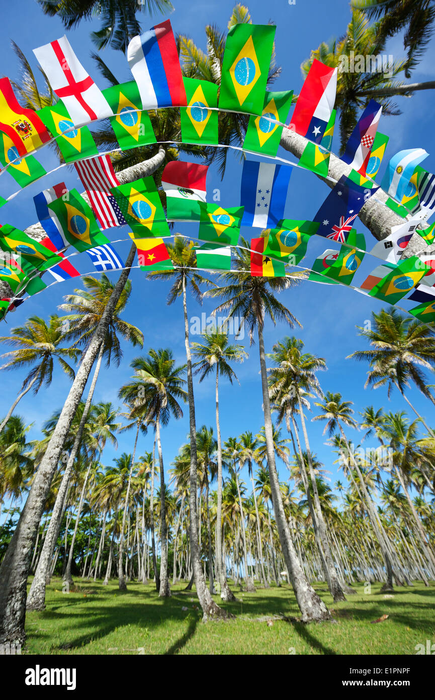 L'international brésilien et décoration guirlandes de drapeaux suspendus dans des forêts tropicales du Brésil Nordeste Palm Grove Banque D'Images