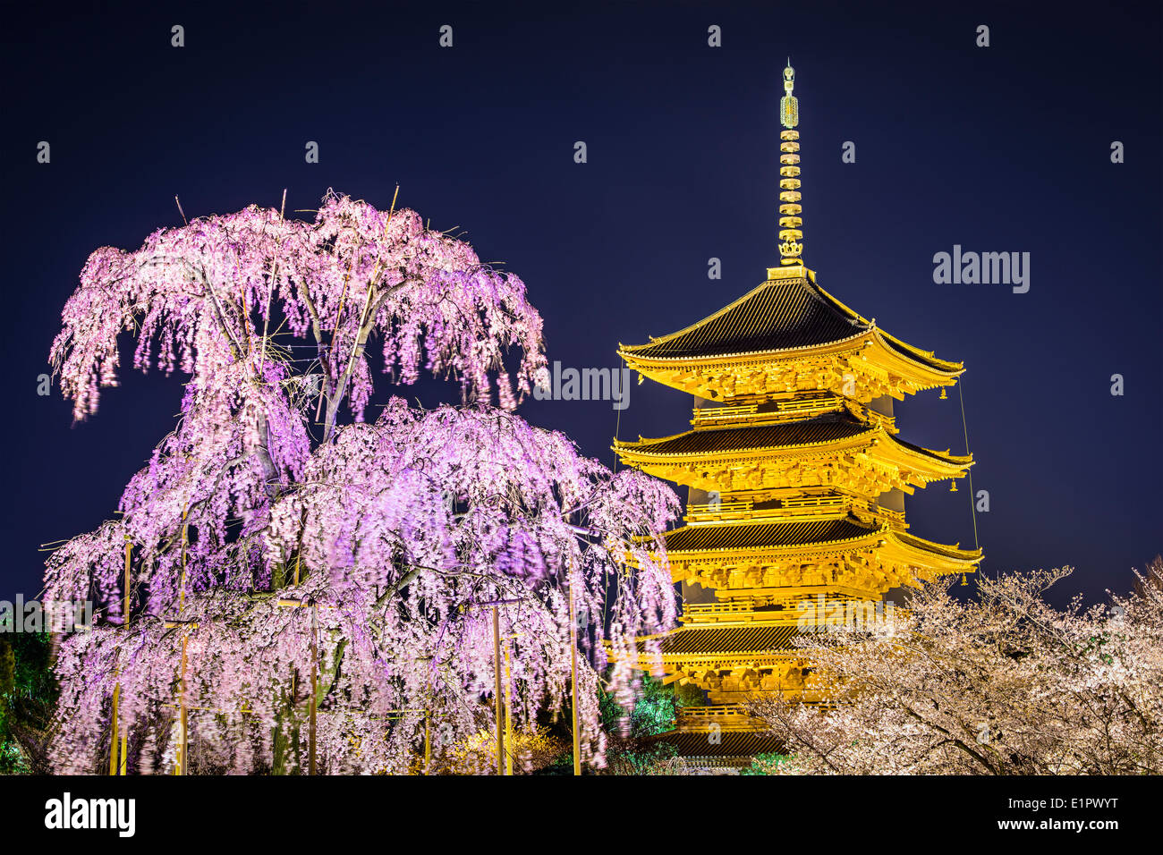 Temple Todai-ji pagode dans le printemps à Kyoto, au Japon. Banque D'Images