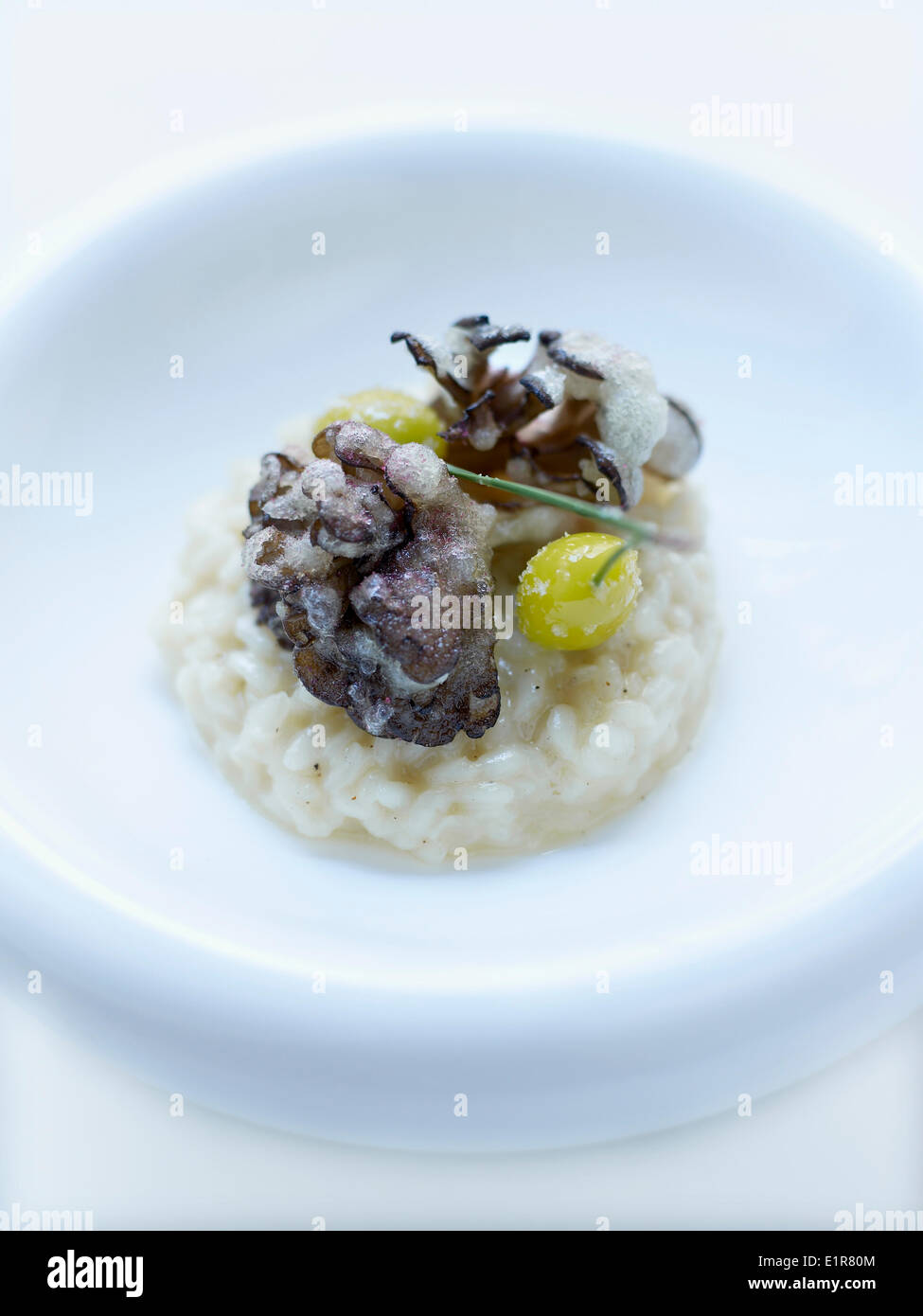 Lumière et risotto de champignons frits Banque D'Images