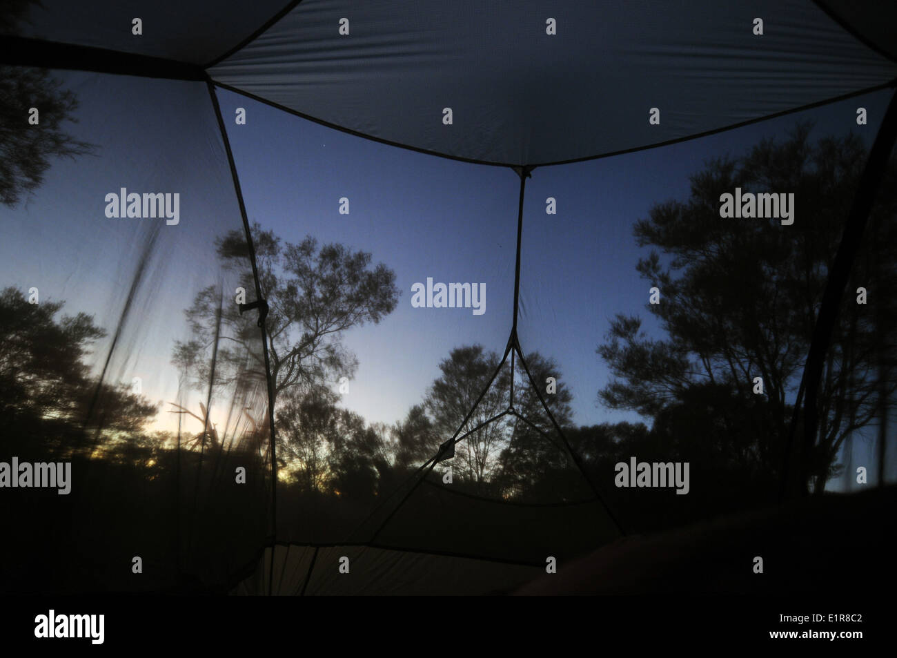 Aube lumière à travers l'écran d'insectes tente, Dales Camping, parc national de Karijini, région du Pilbara, Australie occidentale Banque D'Images