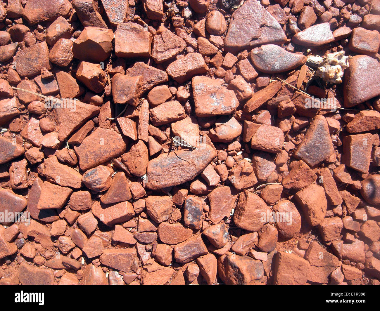 Red sol pierreux de la région du Pilbara, Australie occidentale Banque D'Images