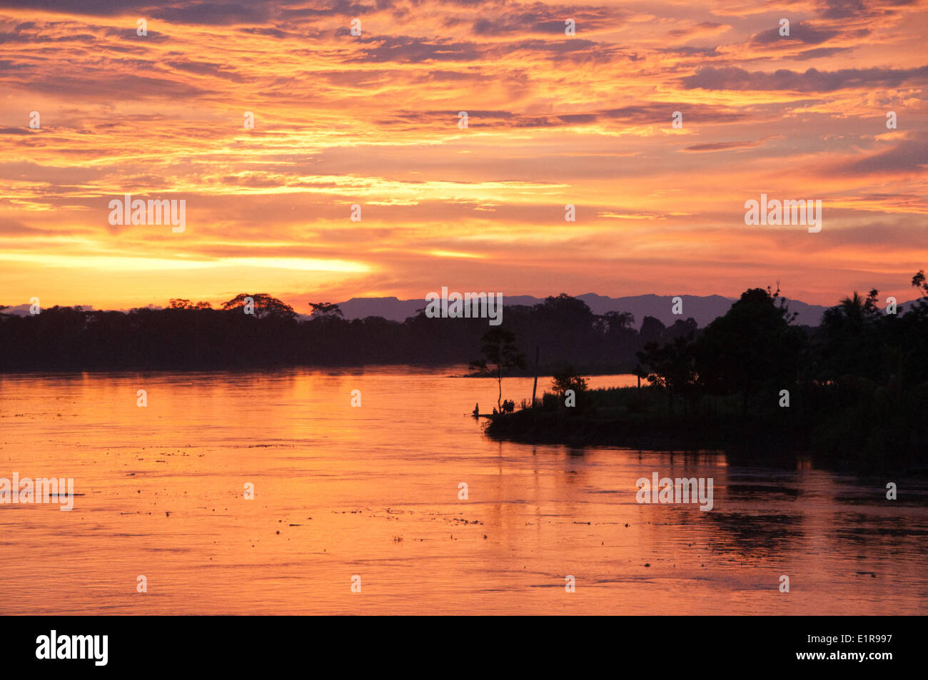 Au coucher du soleil d'or de la jungle amazonienne du Pérou Banque D'Images