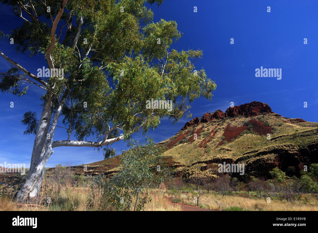 Wittenoom Gorge, Hamersley Range, région du Pilbara, Australie occidentale Banque D'Images
