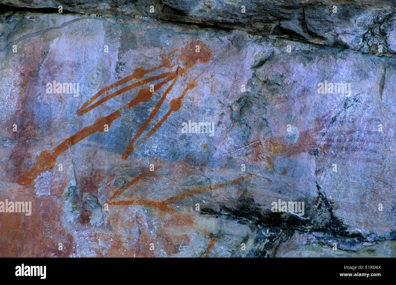 Art rupestre aborigène sur le mur d'Ubirr Rock dans le Kakadu N.P. en Australie Banque D'Images