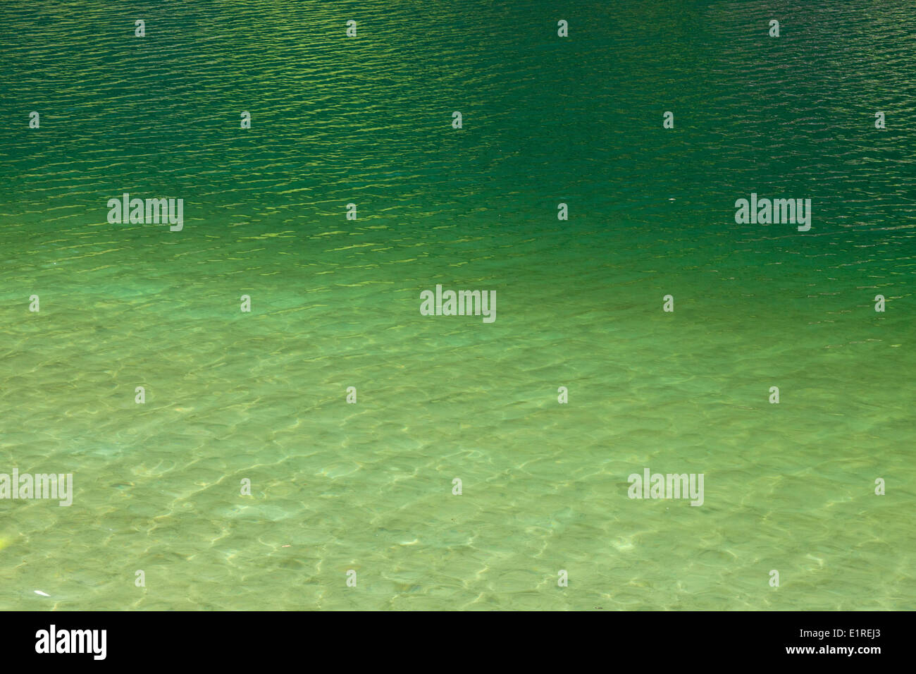 L'eau verte de l'Hintersee in bayern, beieren Banque D'Images