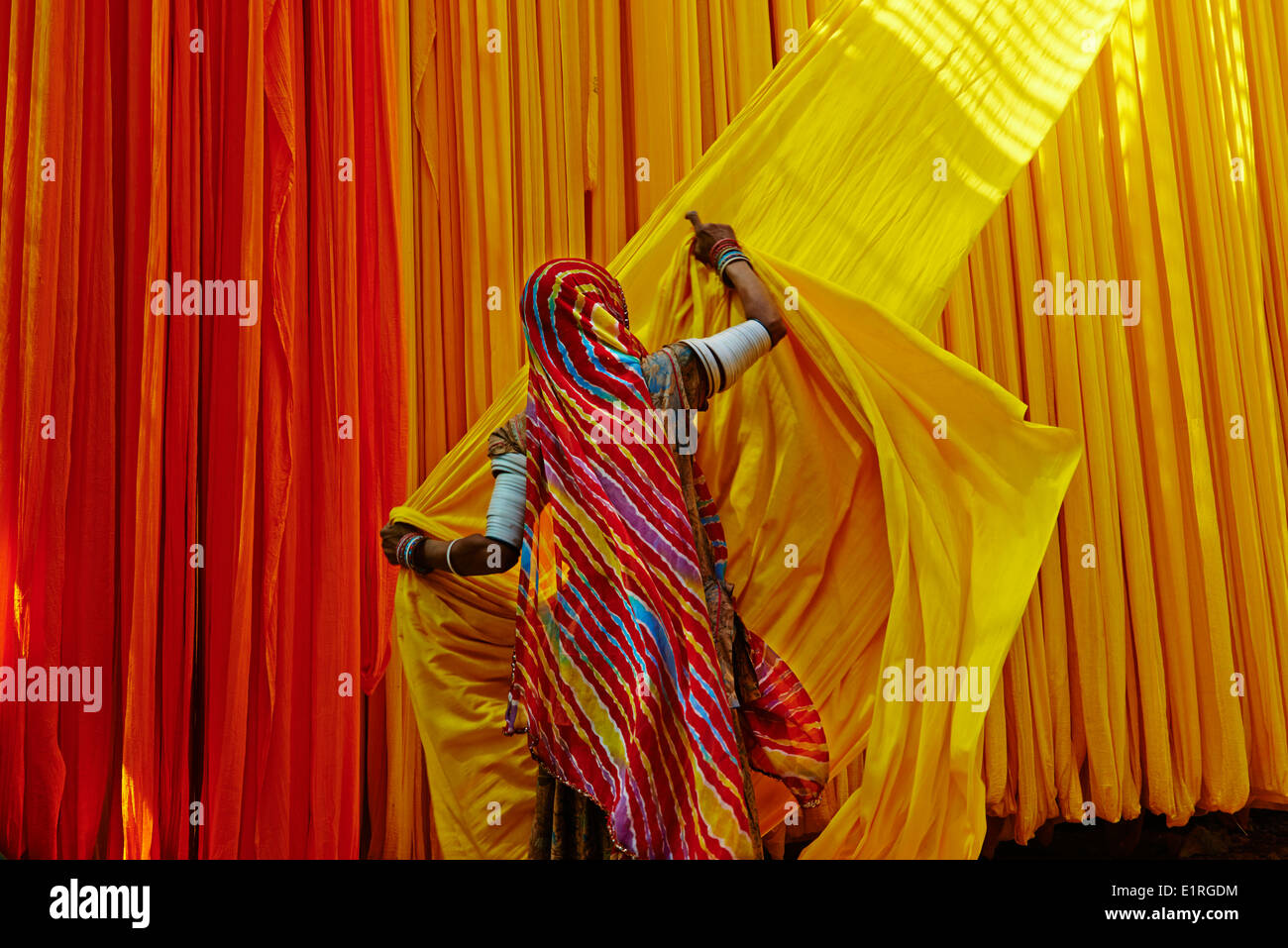 L'Inde, Rajasthan, sari garment factory Banque D'Images