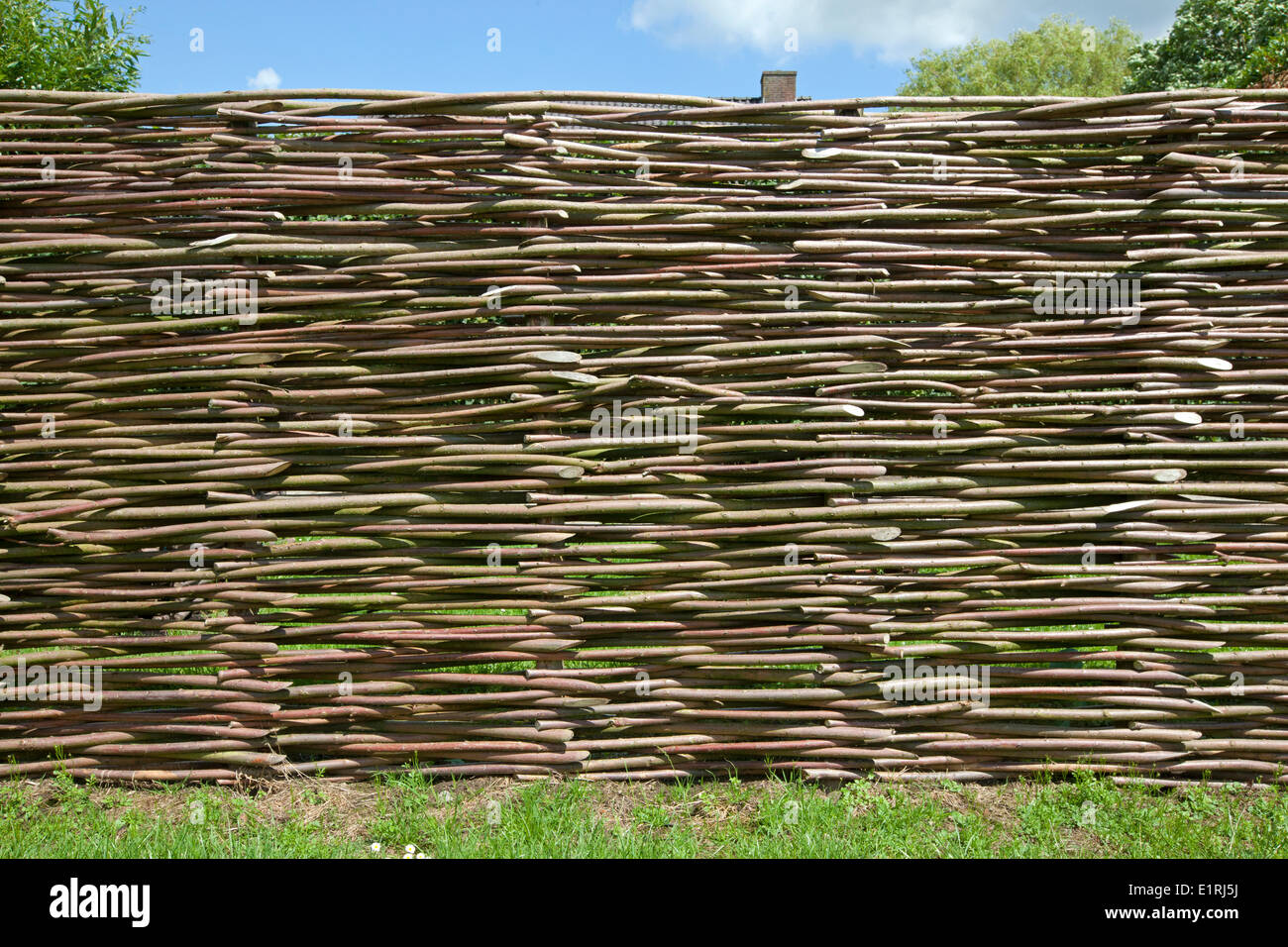 Clôture de branches de saule de l'osier tressé, une haie. Banque D'Images