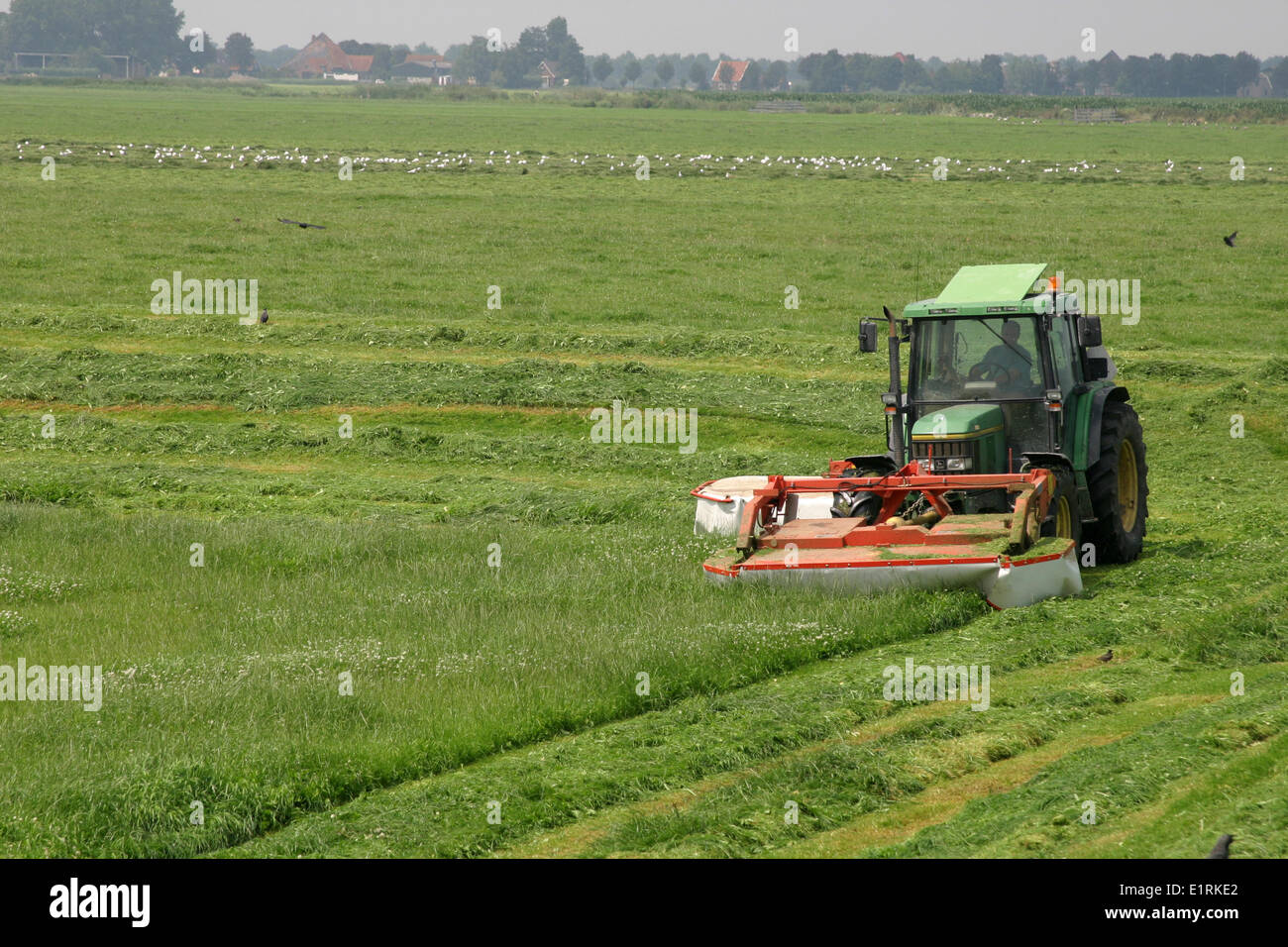 Photo d'un pâturage où un agriculteur est occupé de la tonte Banque D'Images