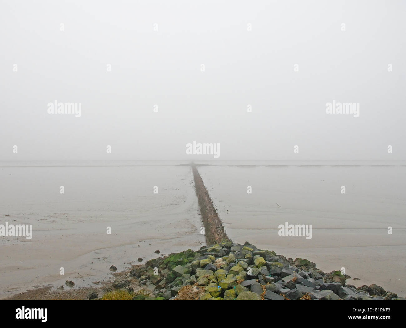 Seuil de l'eau à la mer des Wadden néerlandaise Banque D'Images