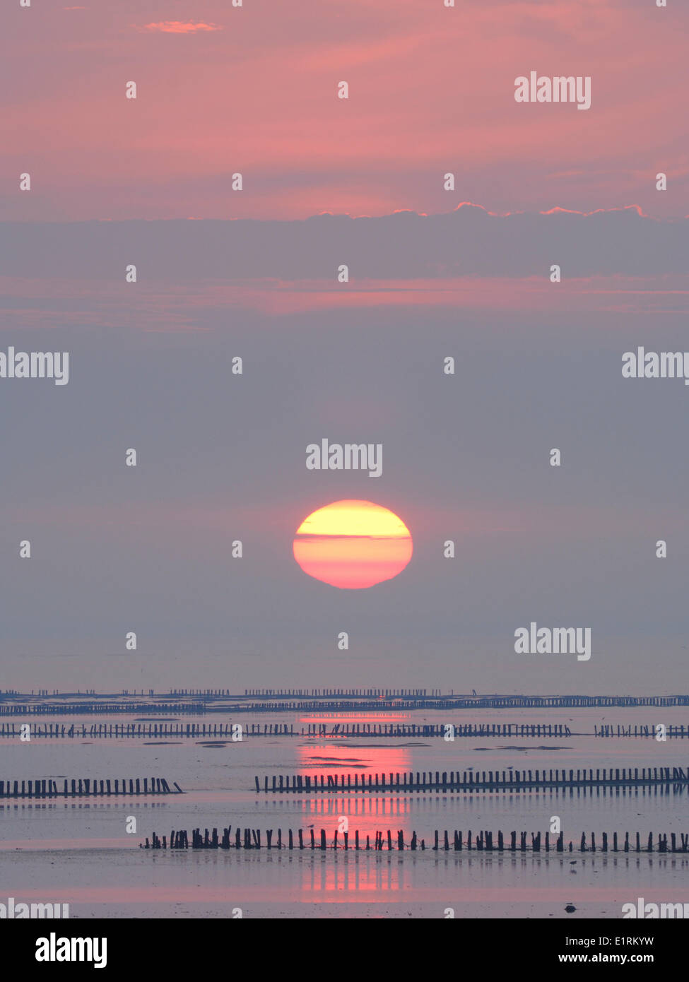 Coucher du soleil à la mer des Wadden Banque D'Images