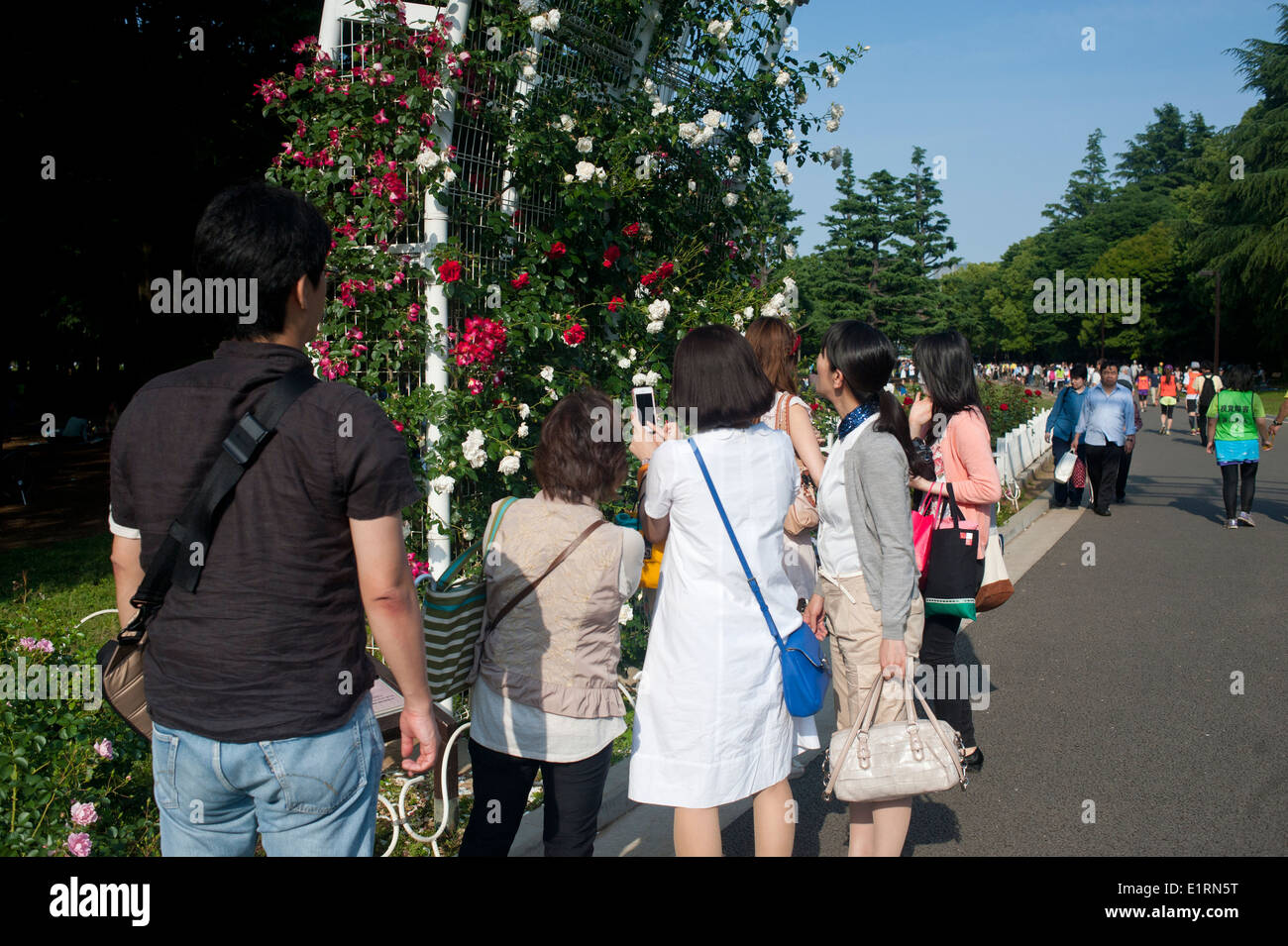 Tokyo Japon Mai 2014 - Parc Yoyogi Banque D'Images Tokyo Japon Mai 2014 - Parc Yoyogi Banque D'Images
