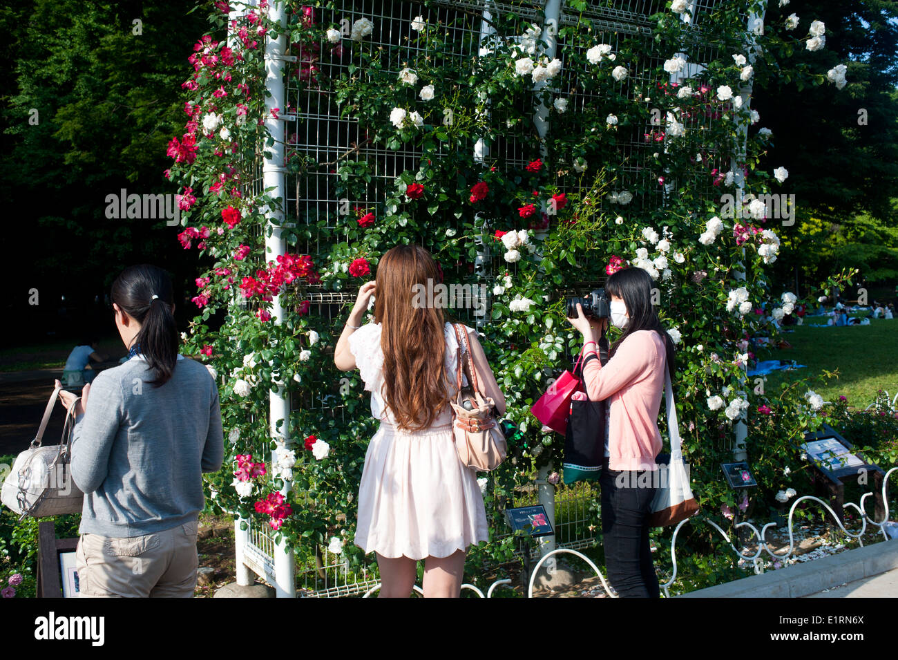 Tokyo Japon Mai 2014 - Parc Yoyogi Banque D'Images Tokyo Japon Mai 2014 - Parc Yoyogi Banque D'Images