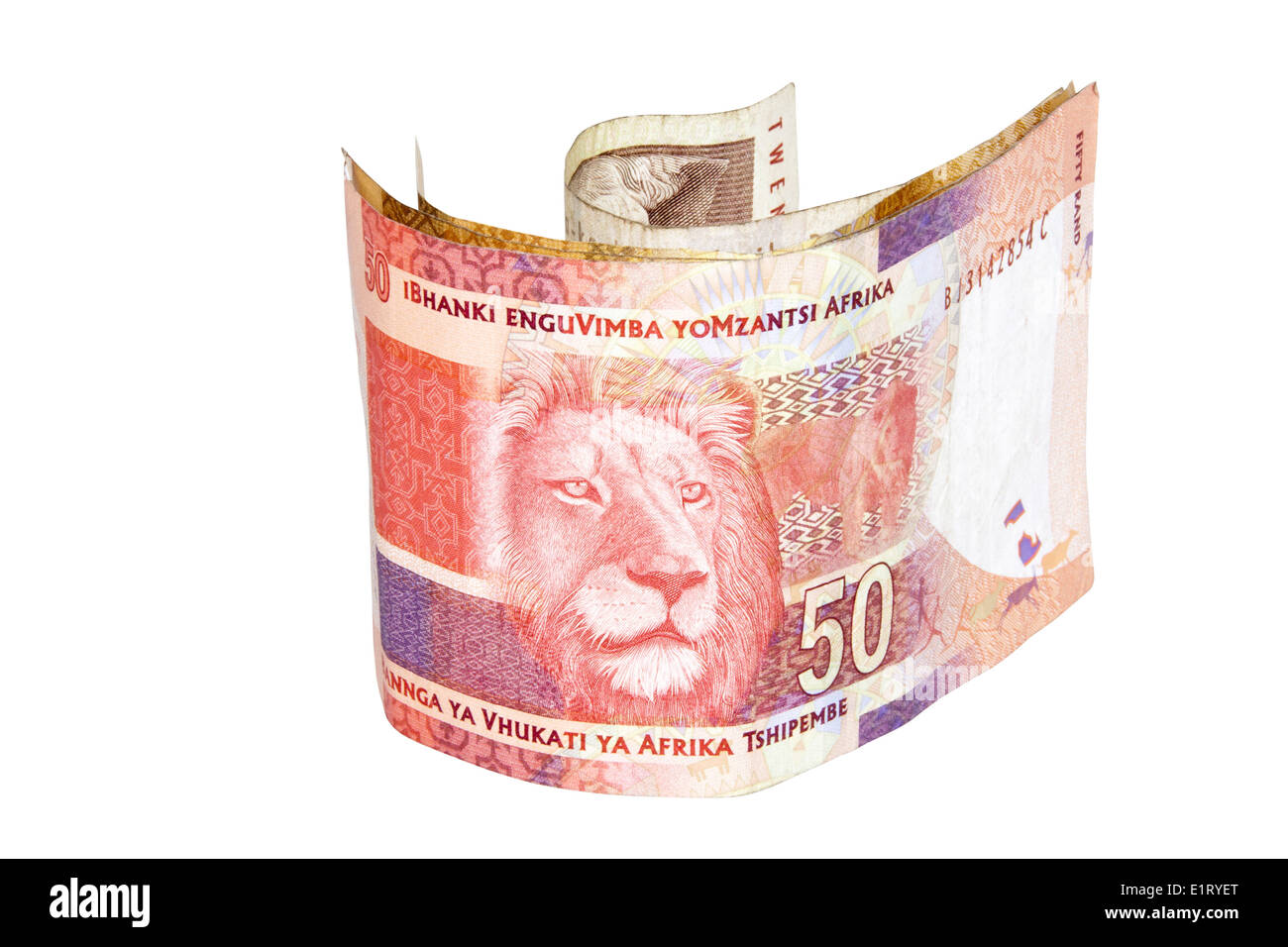 Rand sud-africain cinquante bank note avec les lions head Banque D'Images
