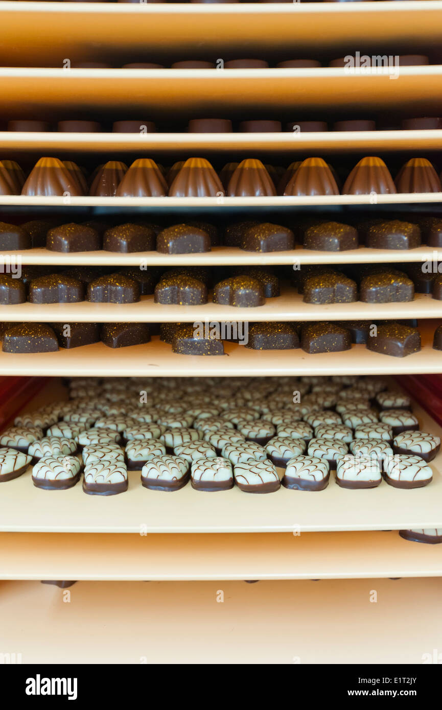 Plateaux avec confiseries au chocolat à l'usine de chocolat suisse Lindt &  Spruengli à Zurich / Kilchberg Photo Stock - Alamy