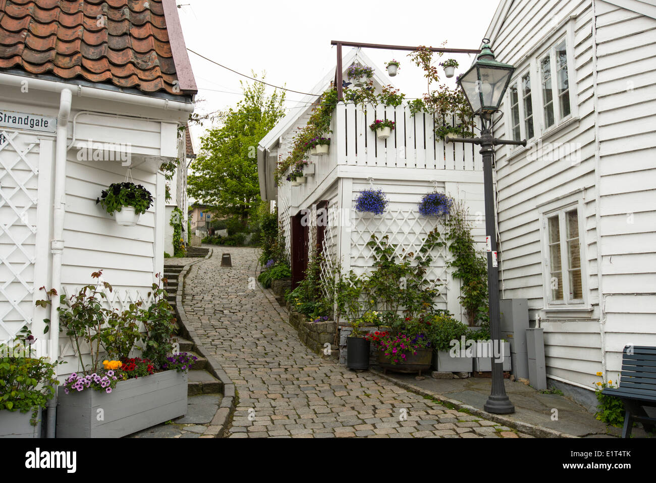 Rues et maisons en bois blanc de rizière ou Gamle Stavanger en Norvège Banque D'Images