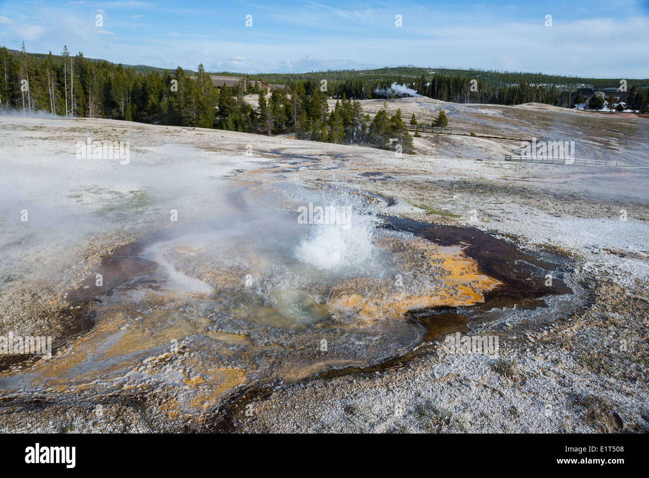 L'eau chaude éclate à partir d'un petit geyser. Le Parc National de Yellowstone, Wyoming, USA. Banque D'Images