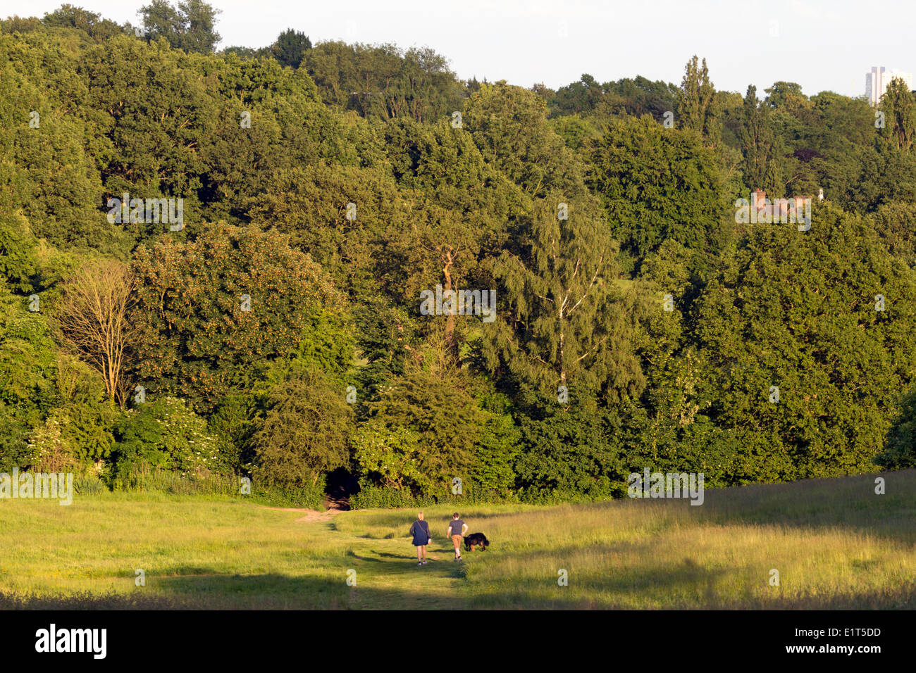 Hampstead Heath - Camden - Londres Banque D'Images