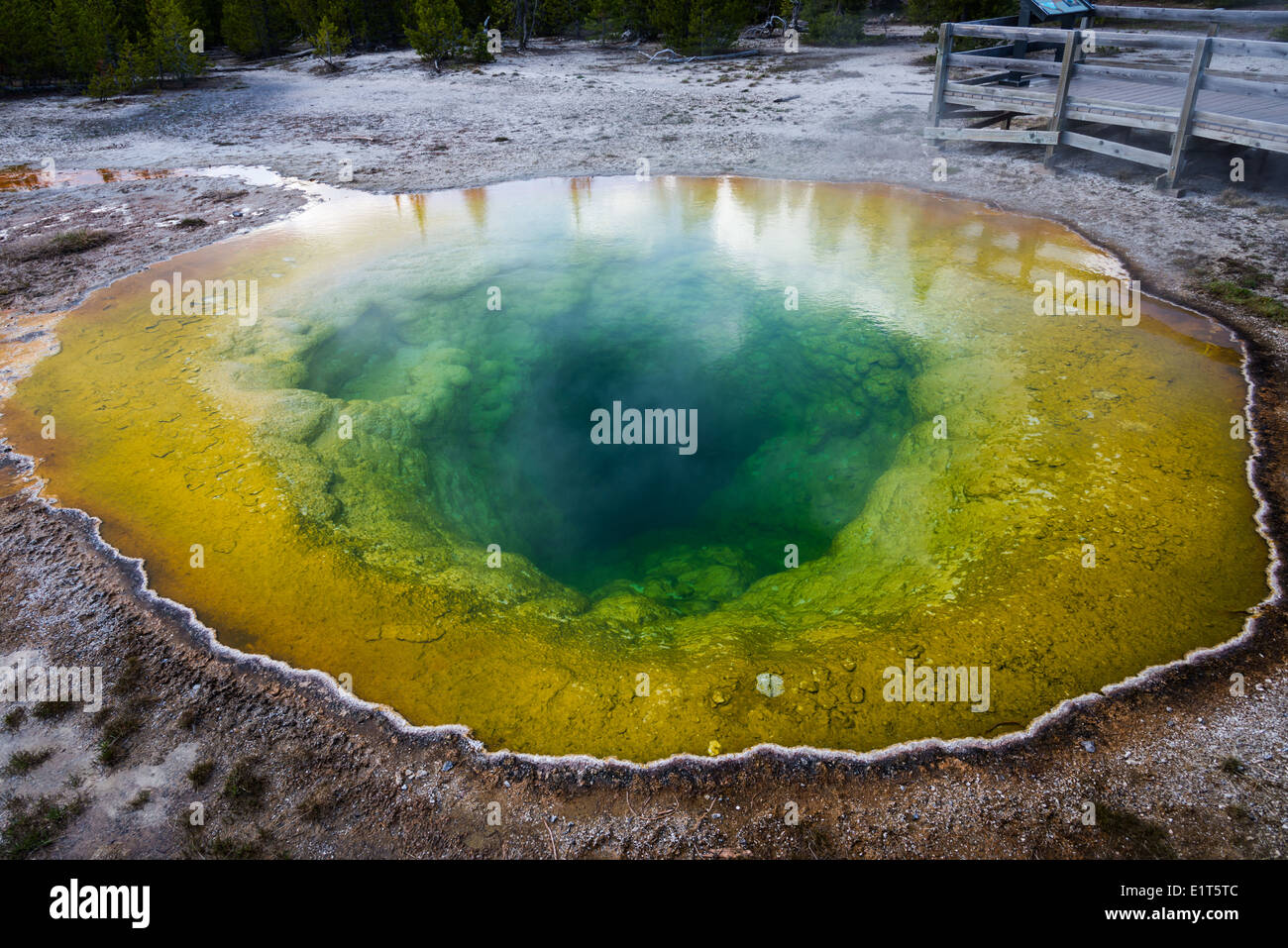 Les eaux colorées de la gloire du matin Hot spring. Le Parc National de Yellowstone, Wyoming, USA. Banque D'Images