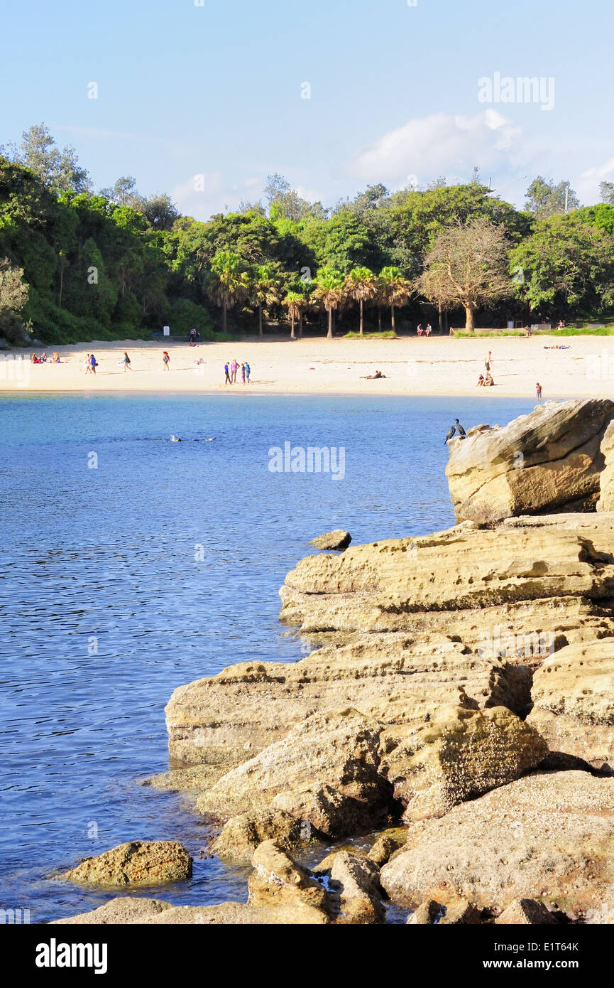 Shelly Beach avec des roches vert. Banque D'Images