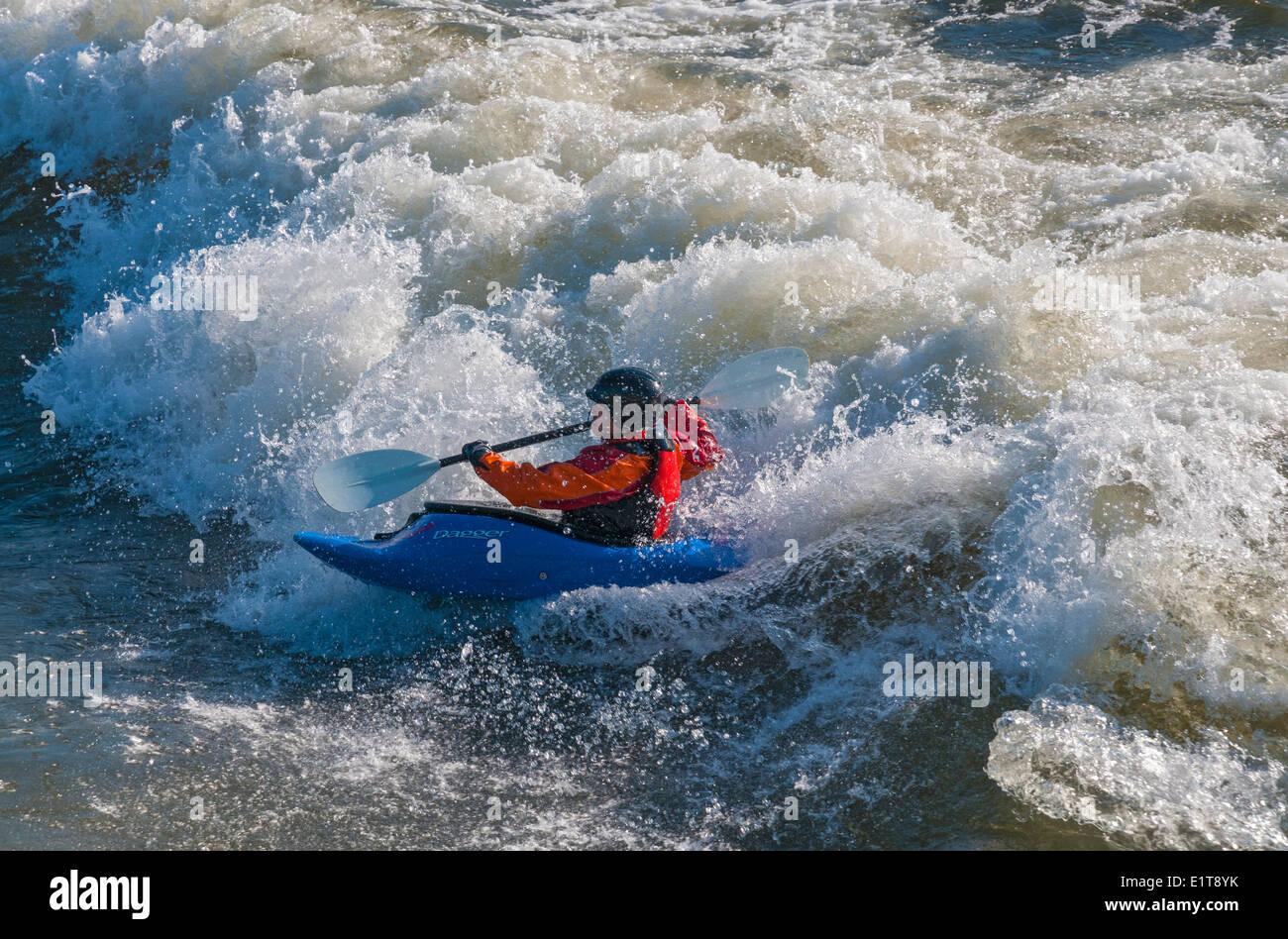 Montana, Missoula, Clark Fork River Rapids, près du centre-ville, la kayakiste Banque D'Images