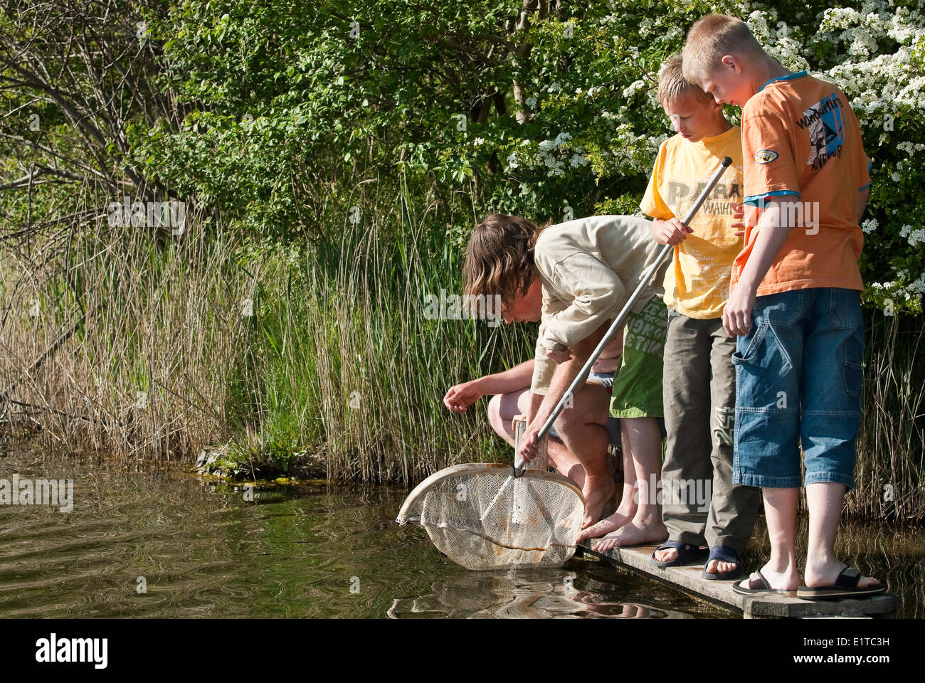 Les jeunes sont le poisson rouge crabes de filet de pêche. Banque D'Images
