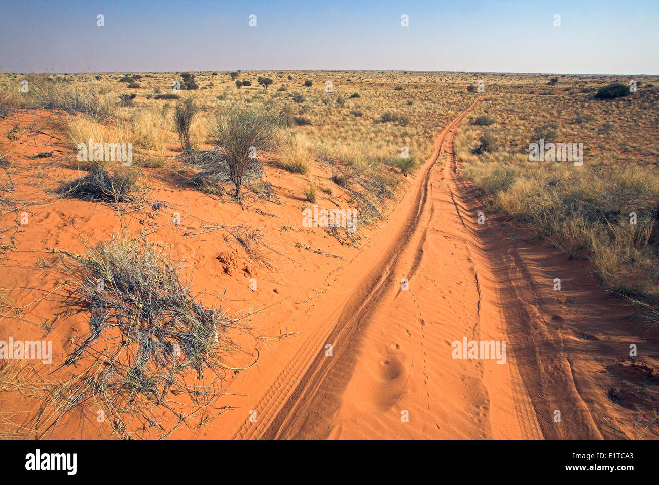 Photo de paysage de la caractéristique des dunes de sable rouge dans le Kalahari dessert Banque D'Images