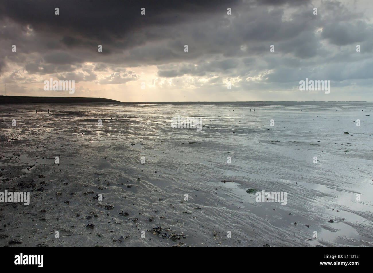 Ciel nuageux et coucher de soleil sur la mer des Wadden néerlandaise Banque D'Images